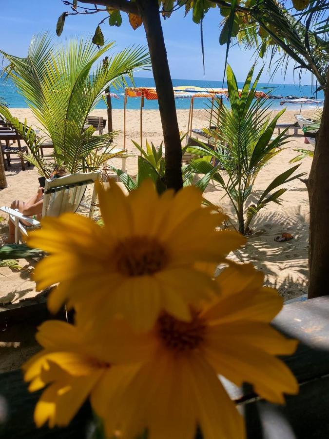Mallika Guest House Tangalle Exterior foto